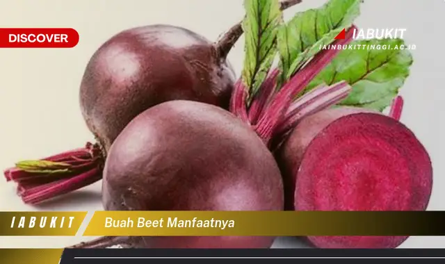 buah beet manfaatnya