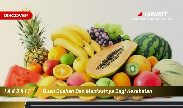 buah buahan dan manfaatnya bagi kesehatan