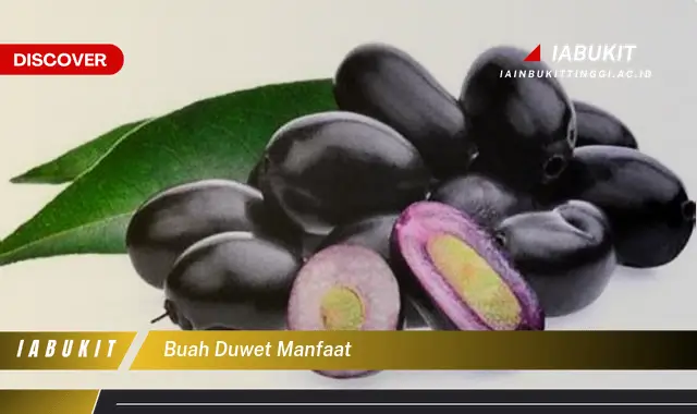 buah duwet manfaat