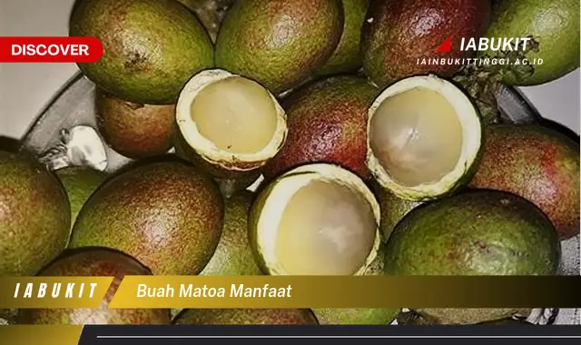 buah matoa manfaat