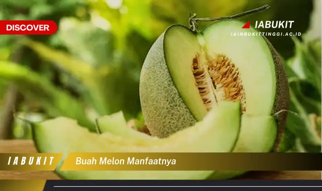 buah melon manfaatnya