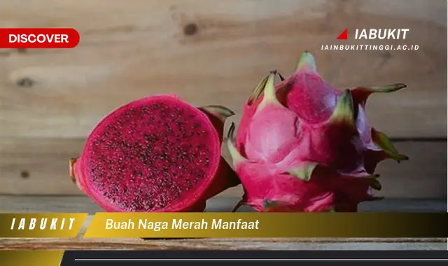 buah naga merah manfaat