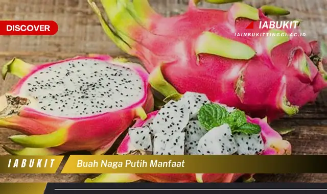 Intip 7 Manfaat Buah Naga Putih yang Wajib Kamu Intip - Discover