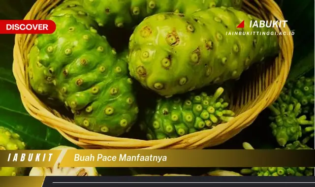 Bukan cuma daun pepaya, Ini dia 7 Manfaat buah pace yang Wajib Diketahui