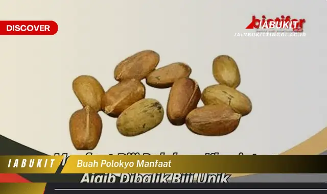buah polokyo manfaat