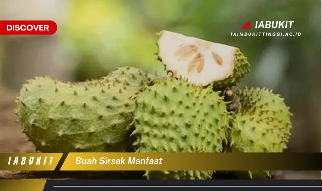 buah sirsak manfaat