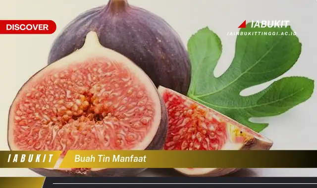 buah tin manfaat