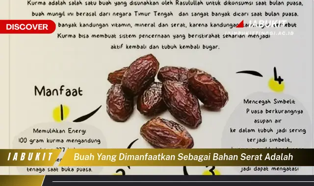 buah yang dimanfaatkan sebagai bahan serat adalah