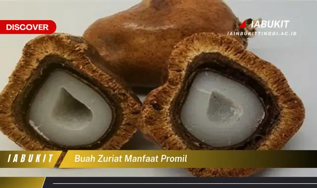 buah zuriat manfaat promil