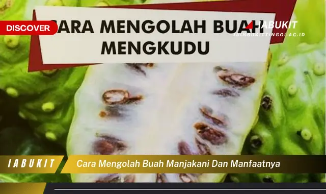 cara mengolah buah manjakani dan manfaatnya