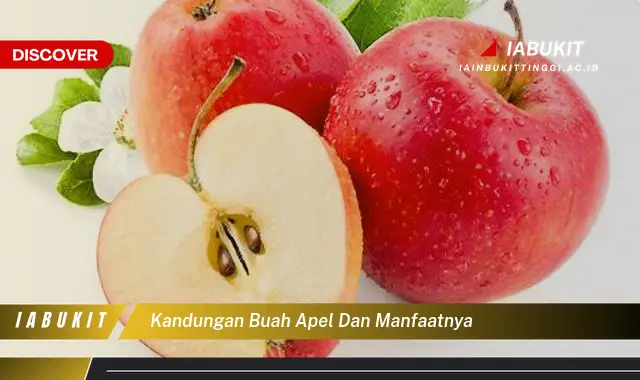 kandungan buah apel dan manfaatnya