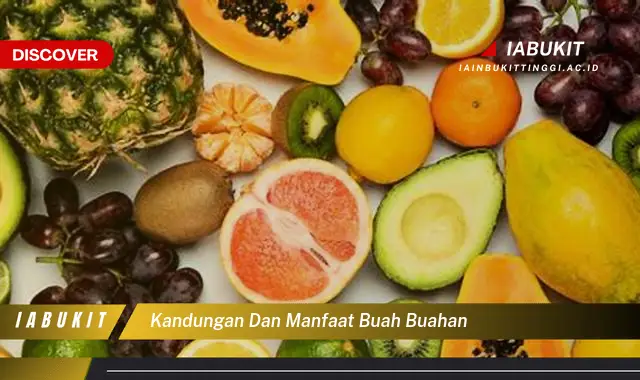 kandungan dan manfaat buah buahan