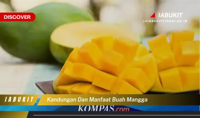 Bukan Cuma Buah, Ini Dia 7 Manfaat Buah Mangga yang Jarang Diketahui