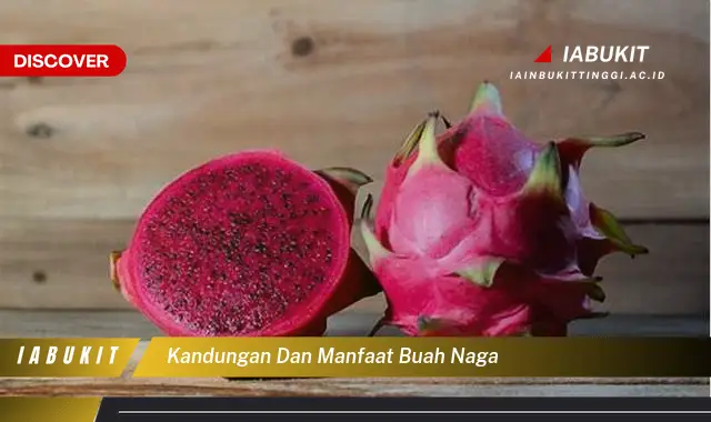 kandungan dan manfaat buah naga