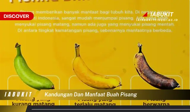 kandungan dan manfaat buah pisang