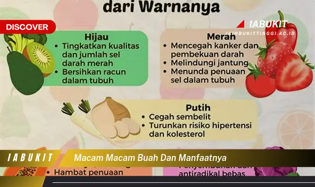 macam macam buah dan manfaatnya