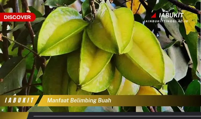 manfaat belimbing buah