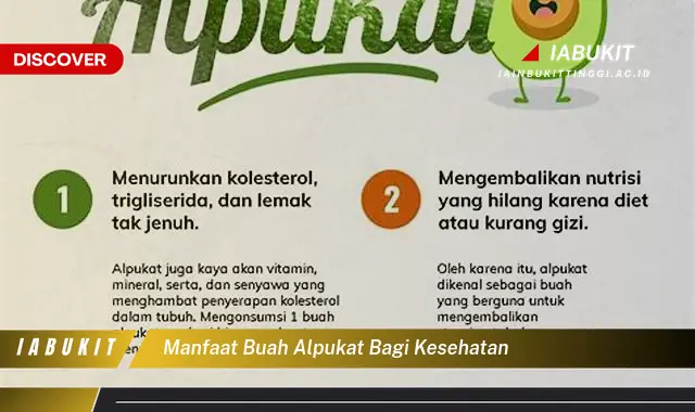 manfaat buah alpukat bagi kesehatan