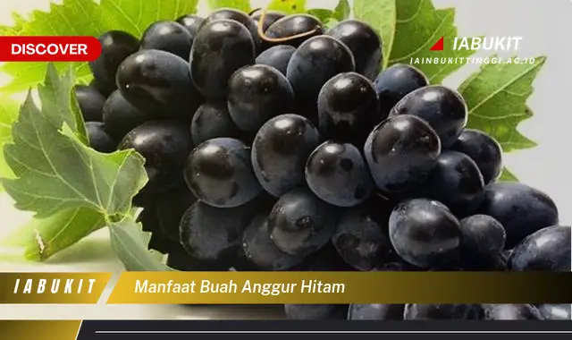 manfaat buah anggur hitam