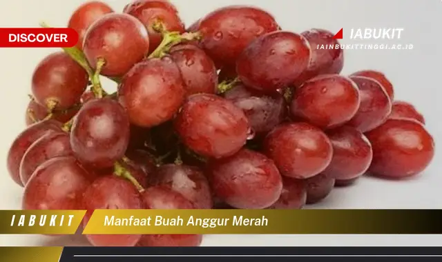 manfaat buah anggur merah