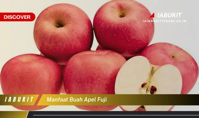 manfaat buah apel fuji