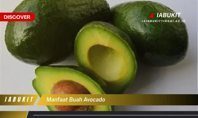 manfaat buah avocado