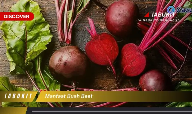 manfaat buah beet