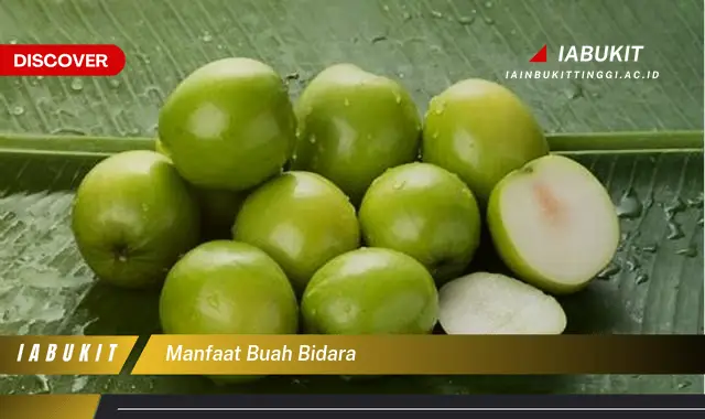 manfaat buah bidara