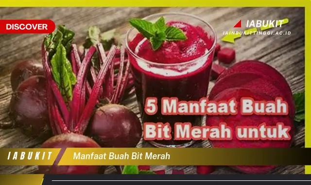 manfaat buah bit merah