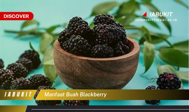 manfaat buah blackberry