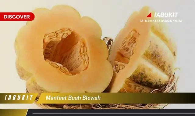 manfaat buah blewah