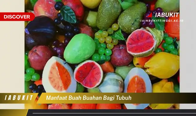 manfaat buah buahan bagi tubuh