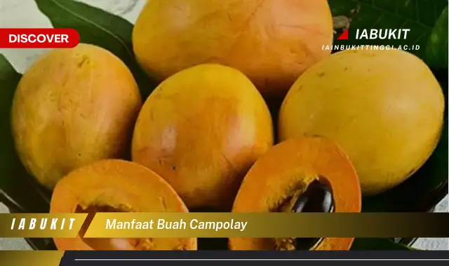 manfaat buah campolay