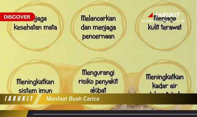 manfaat buah carica