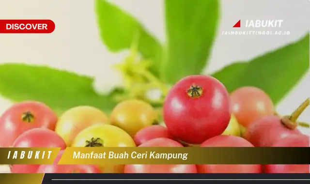 manfaat buah ceri kampung