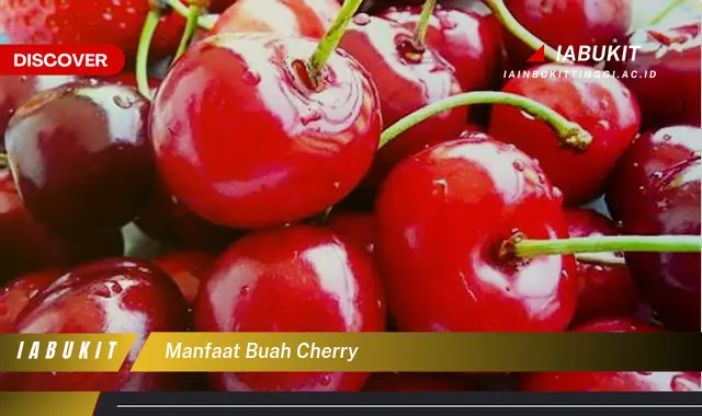 Temukan 7 Manfaat Buah Cherry yang Bikin Kamu Penasaran - Discover