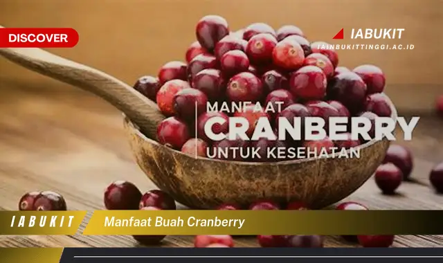 manfaat buah cranberry