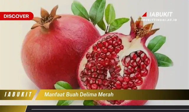 manfaat buah delima merah