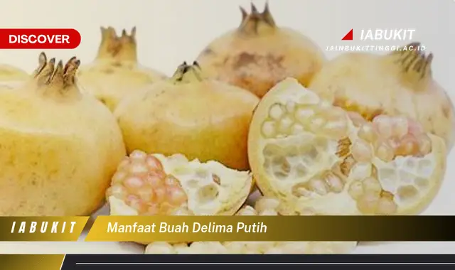 manfaat buah delima putih