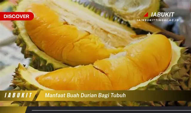 manfaat buah durian bagi tubuh