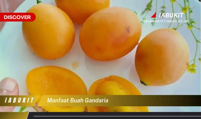 manfaat buah gandaria