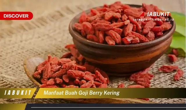 manfaat buah goji berry kering