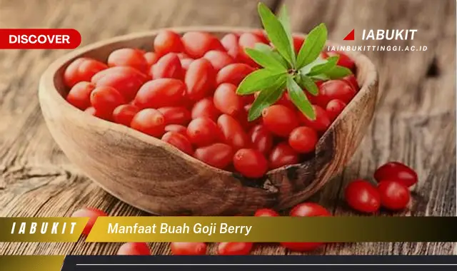 manfaat buah goji berry