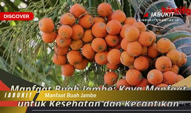 manfaat buah jambe