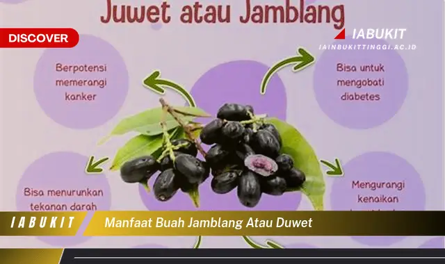 manfaat buah jamblang atau duwet