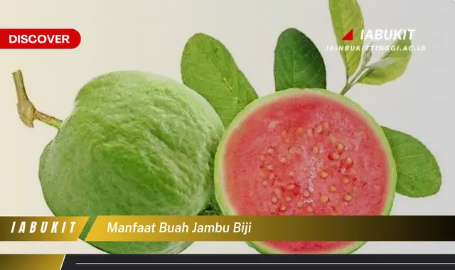 manfaat buah jambu biji