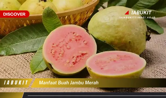 manfaat buah jambu merah