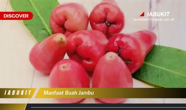 manfaat buah jambu