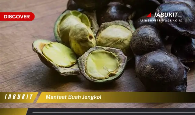 manfaat buah jengkol