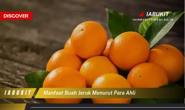 manfaat buah jeruk menurut para ahli